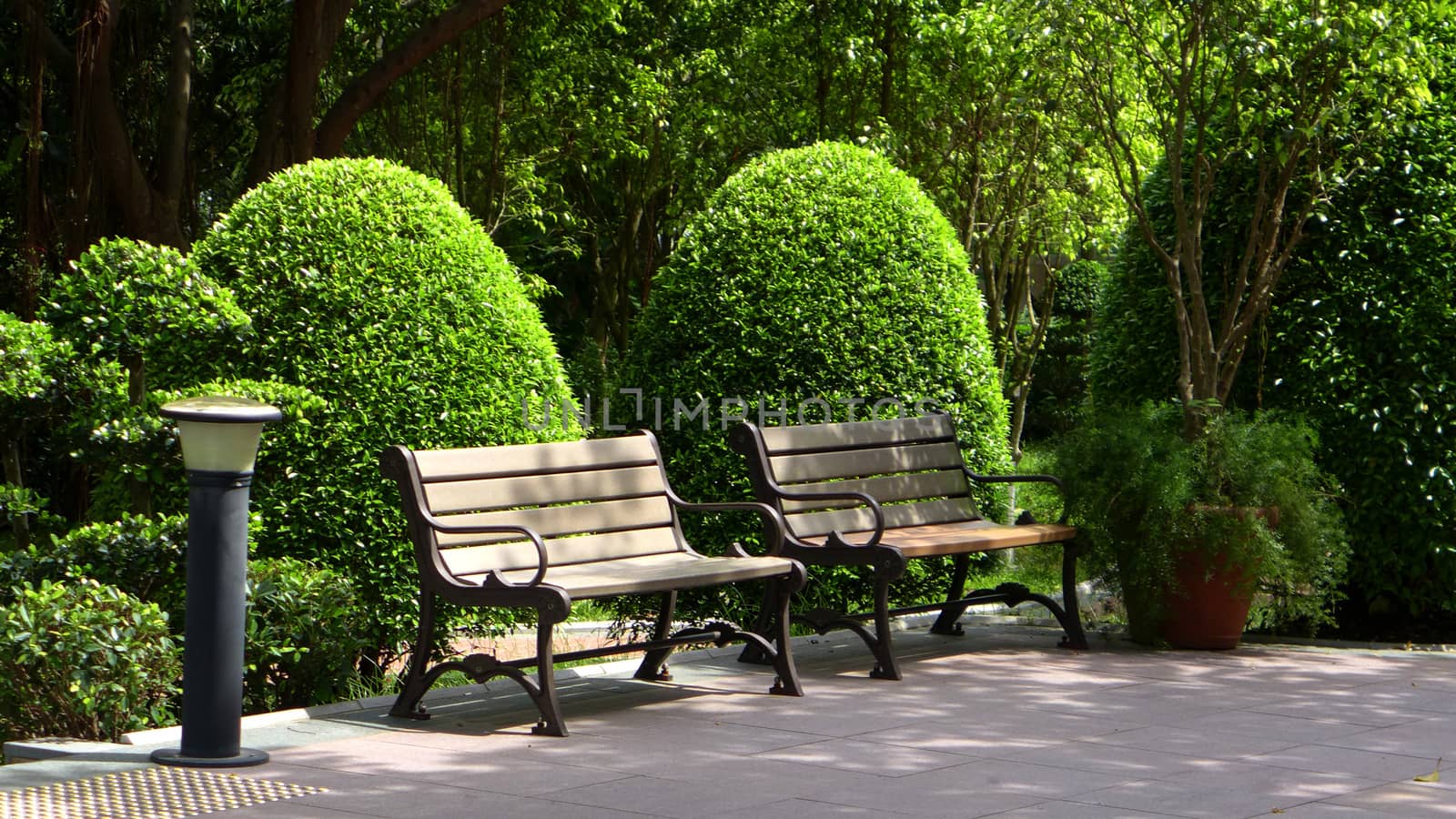 Green plants and benches in formal garden by cougarsan