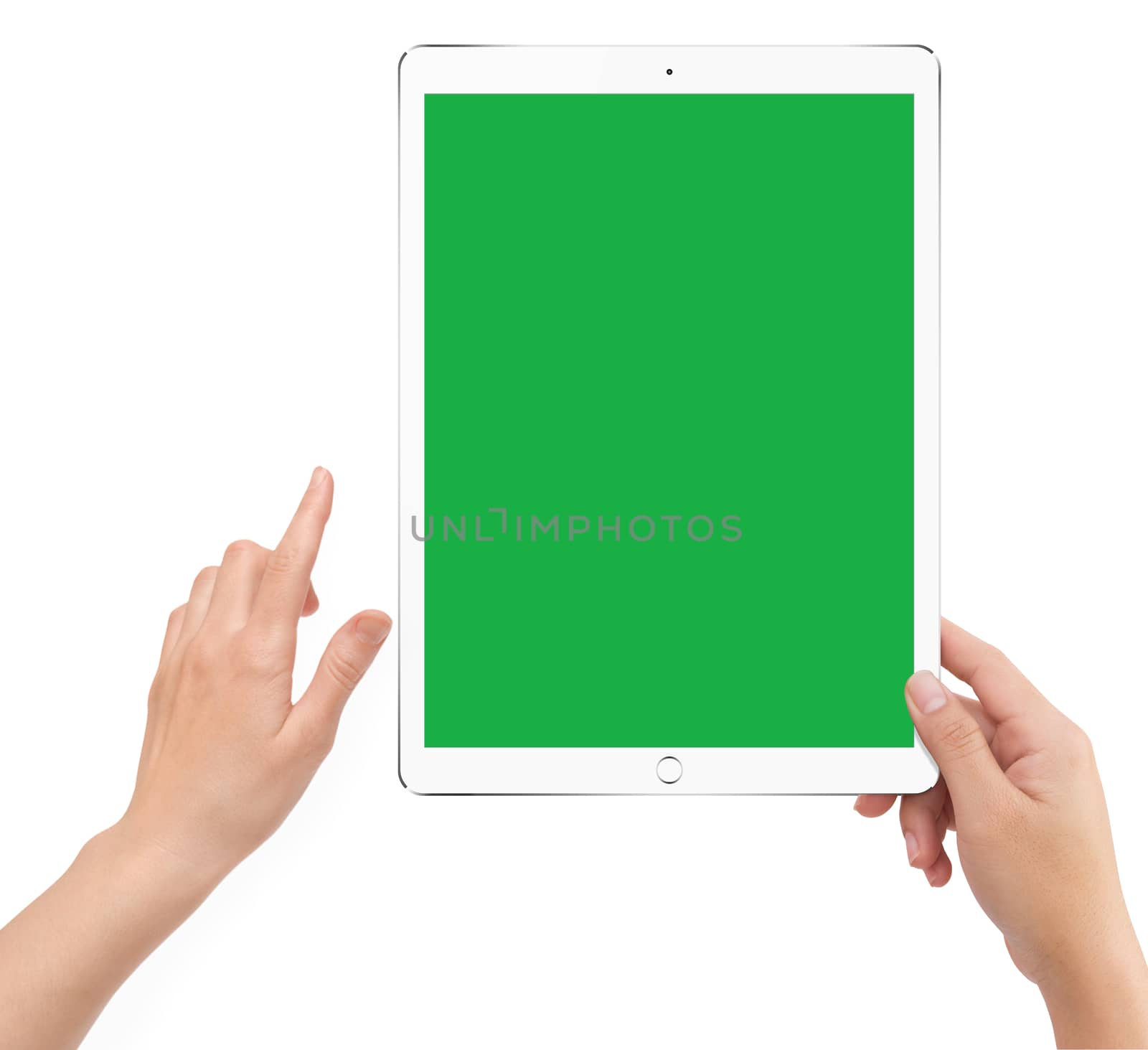 Isolated human right hand holding white tablet computer green screen mockup on white background