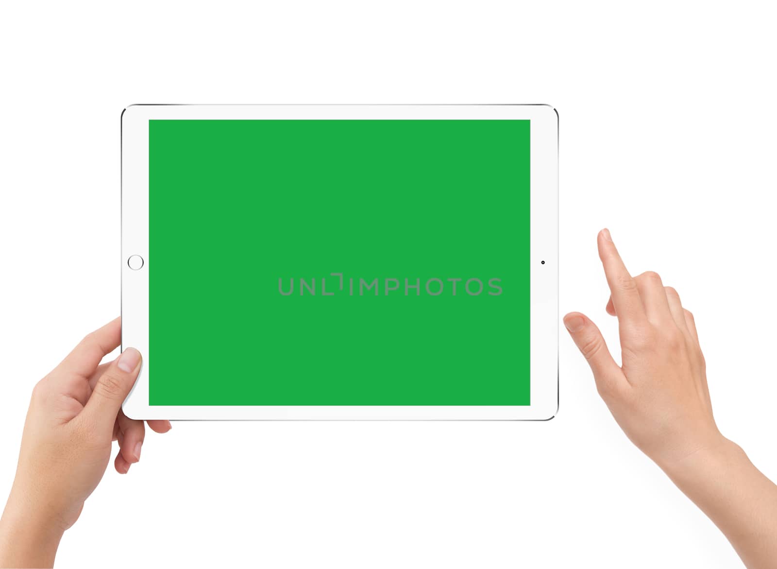 Isolated human left hand holding white tablet computer green screen mockup on white background
