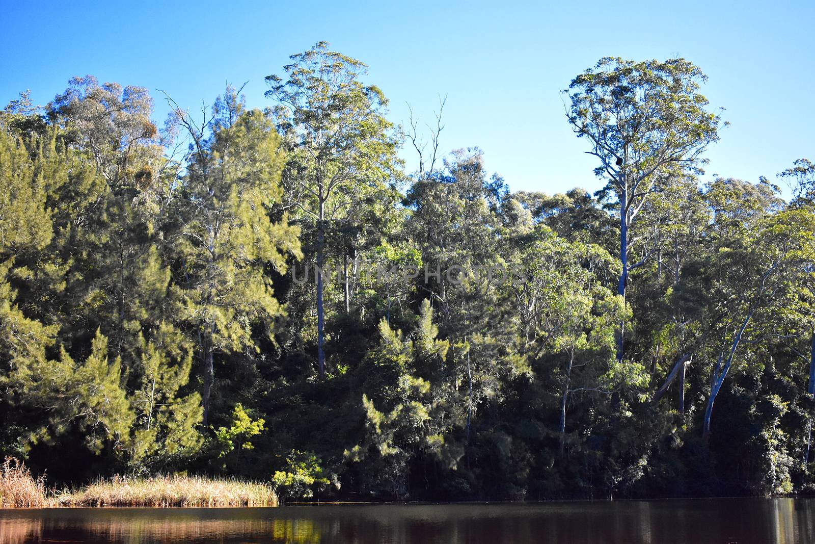 Shallow Crossing in NSW Australia