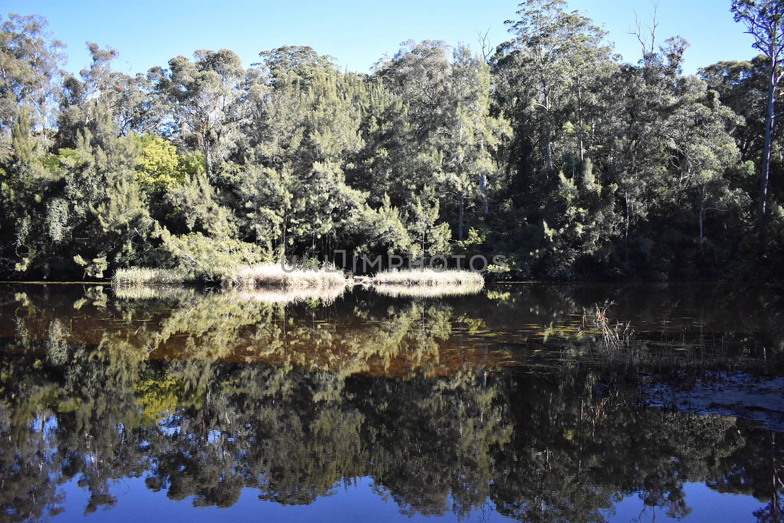 Shallow Crossing in NSW Australia