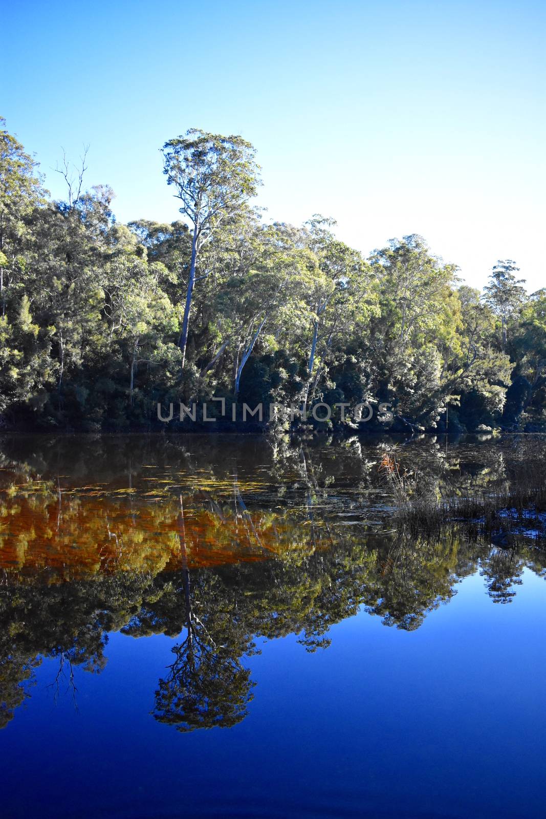 Shallow Crossing in NSW Australia