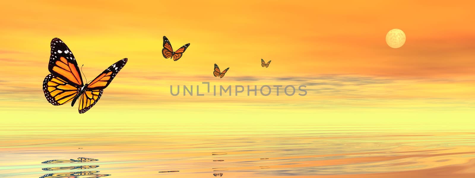 Butterflies flying to the sunset upon the ocean - 3D render