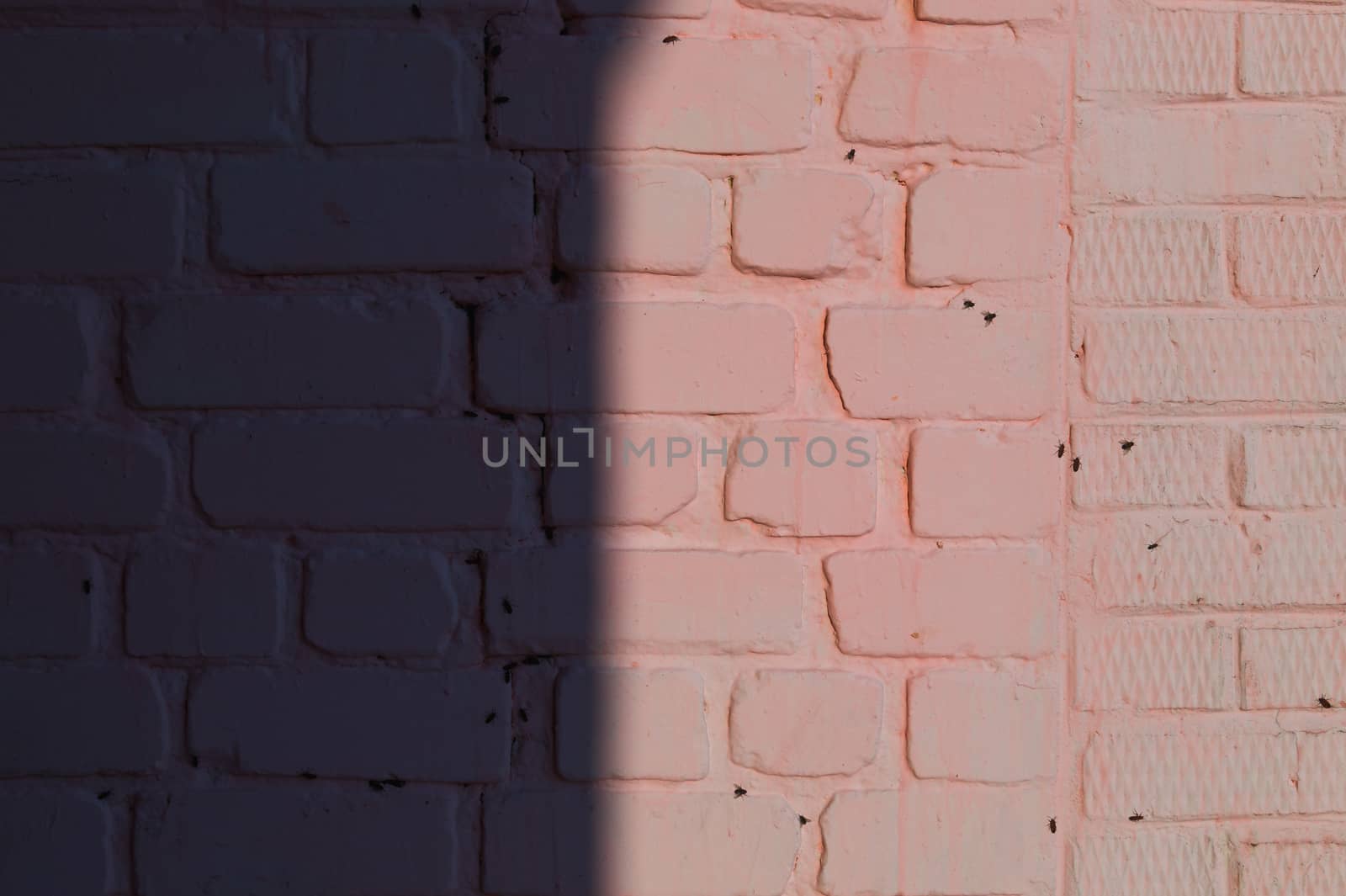 Pink brick wall with vertical shadow line. Textured wall stock pattern.