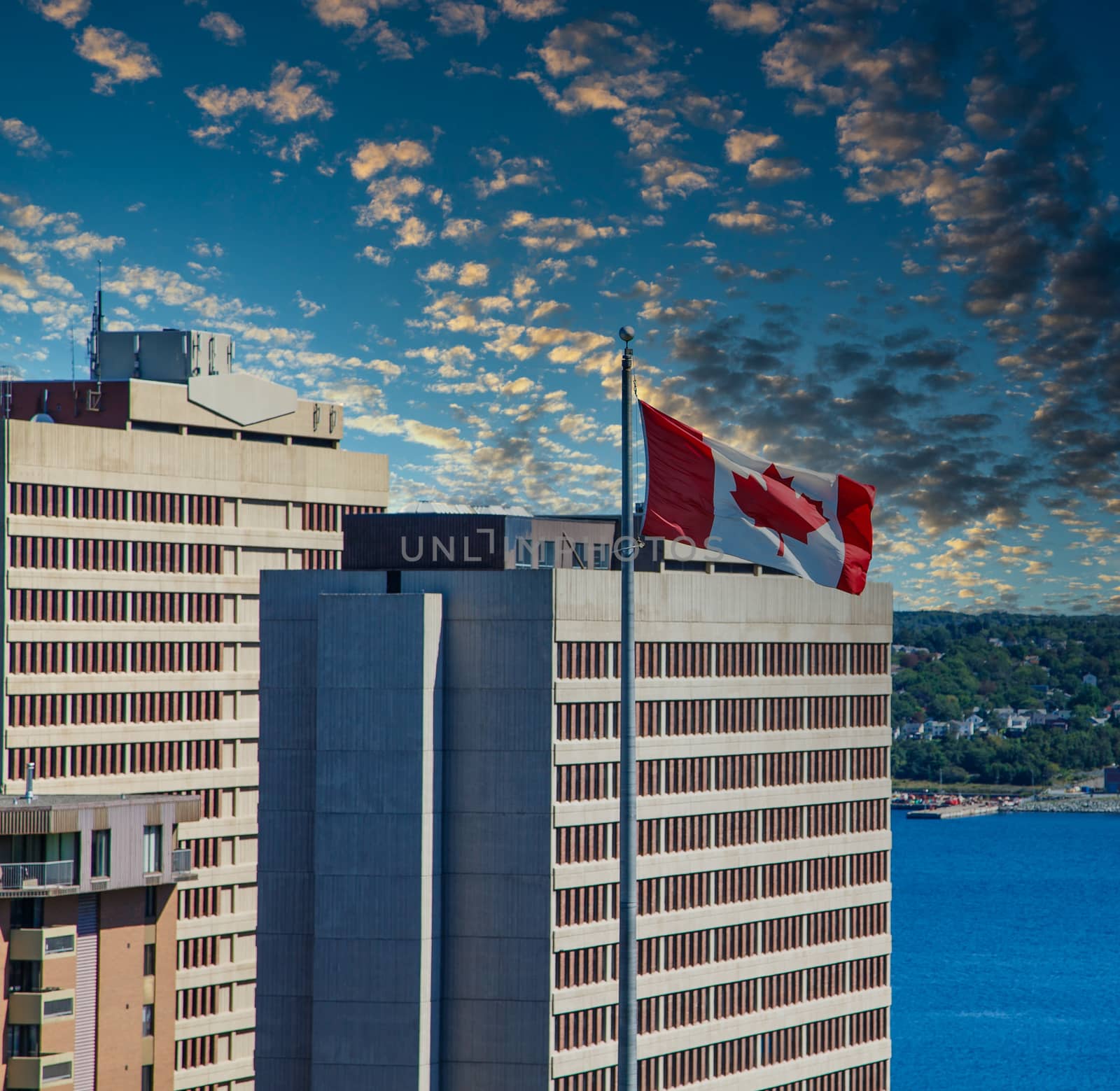 A Canadian flag flying outside office towers under blue sky