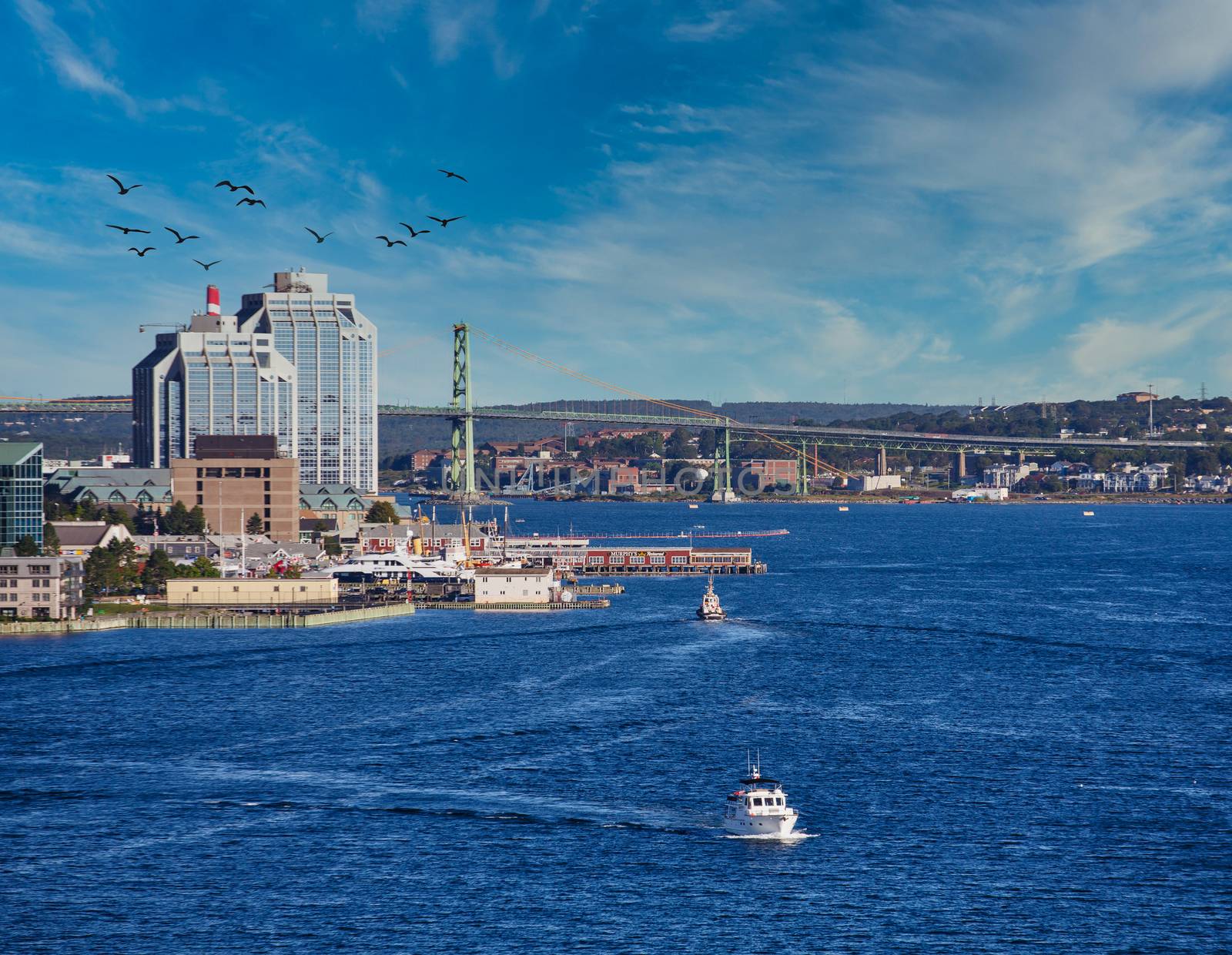 White Boat Leaving Halifax by dbvirago