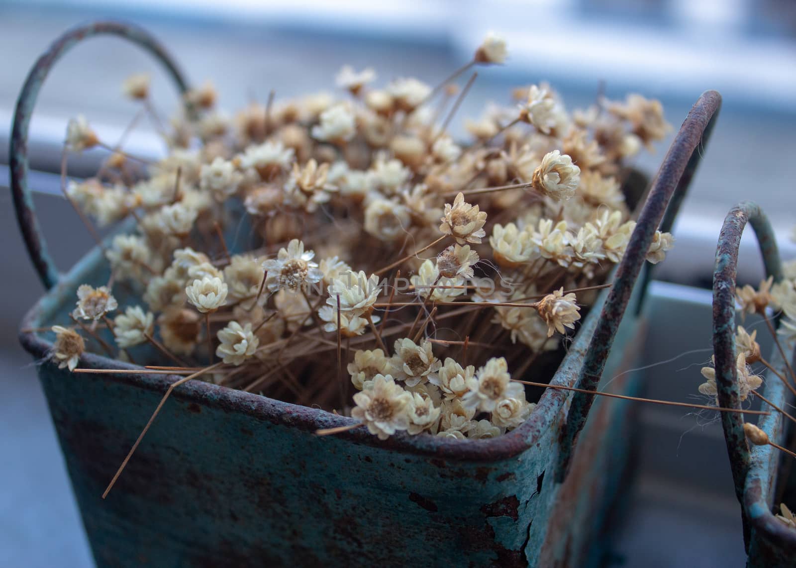 Bunch of tinny artificial flowers, hay colored, inside two blue metal boxes, very old and rusted