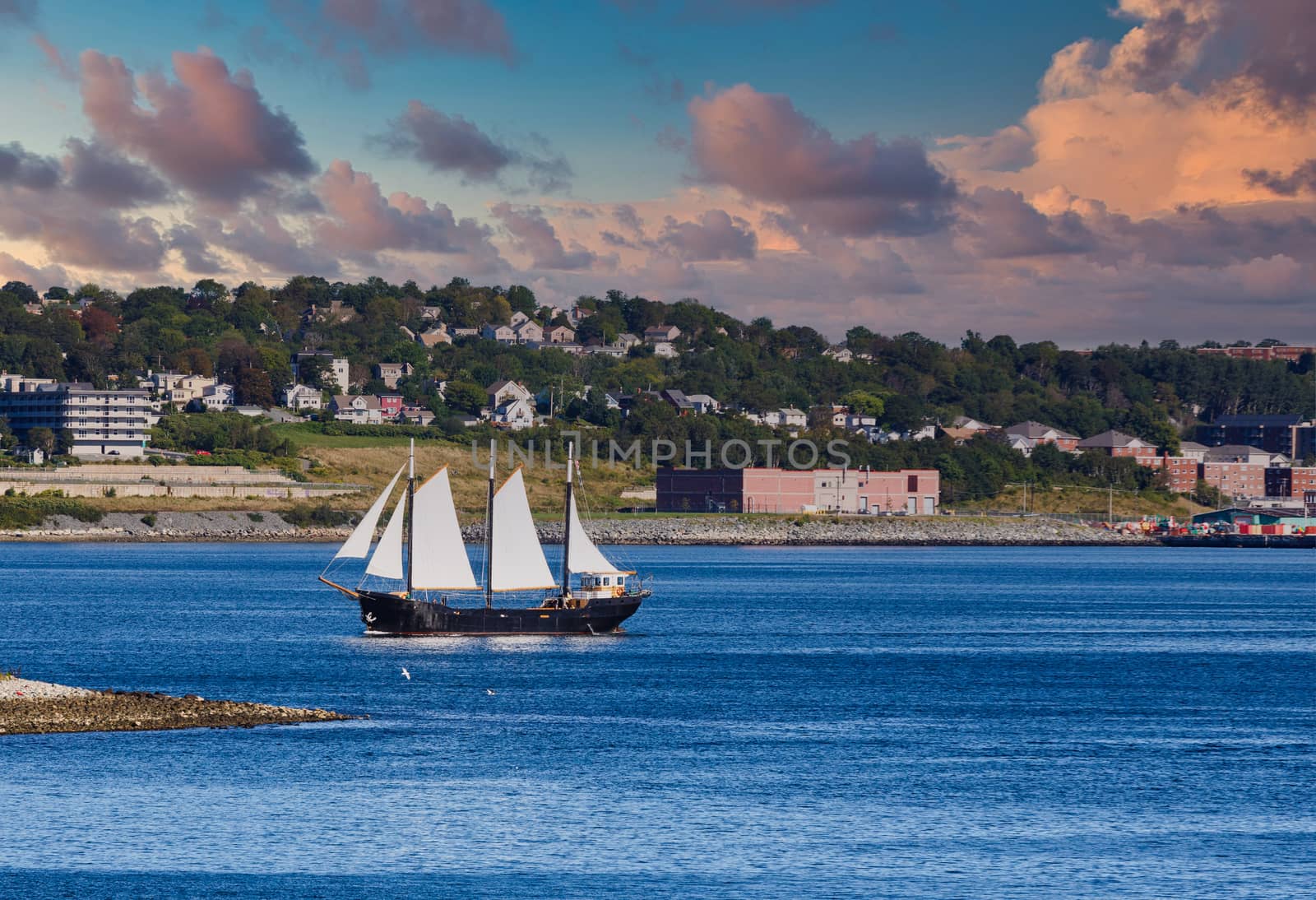 Large Black Schooner with White sails on blue water