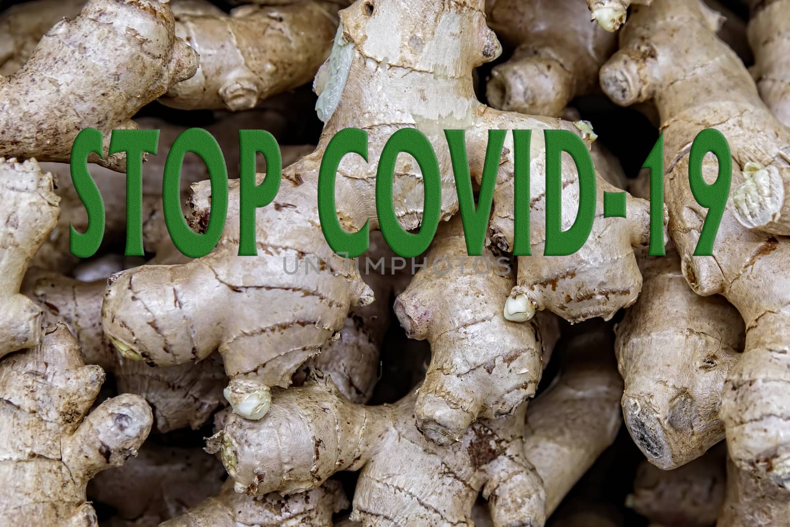 Text about the prevention of coronavirus disease against the background of fresh ginger roots. A bunch of ginger root is a healthy organic product that strengthens the immune system