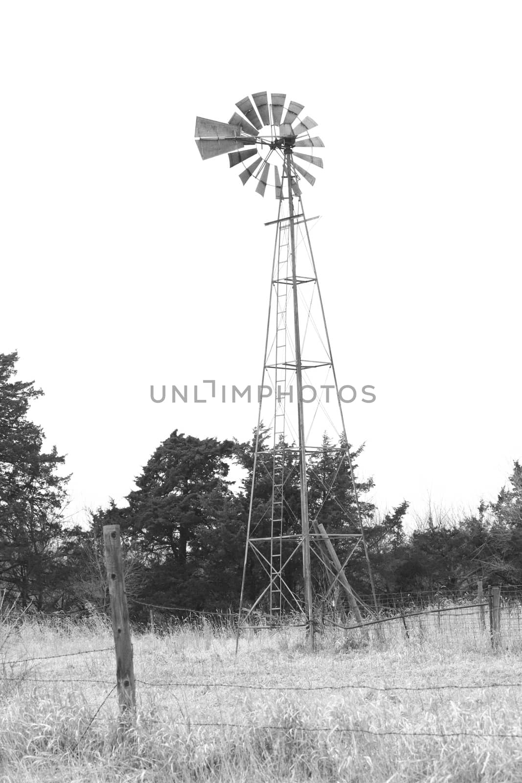 Black and White Windmill in field