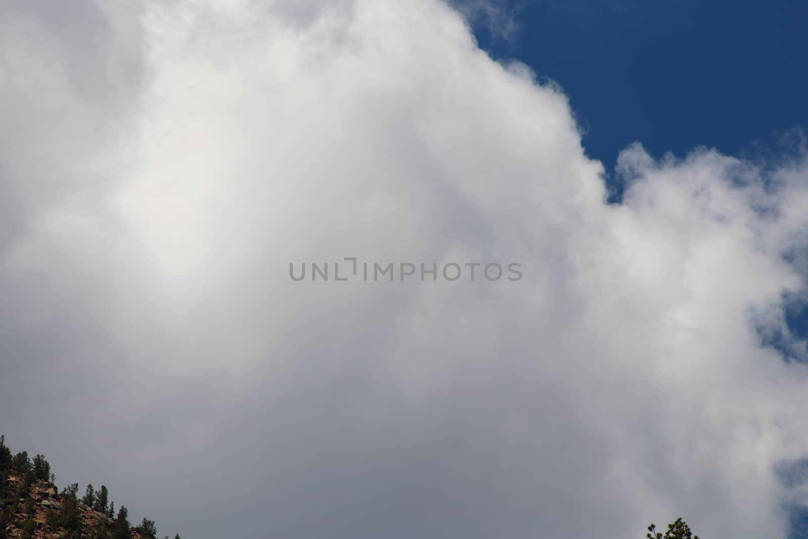 Clouds in the skyundefined