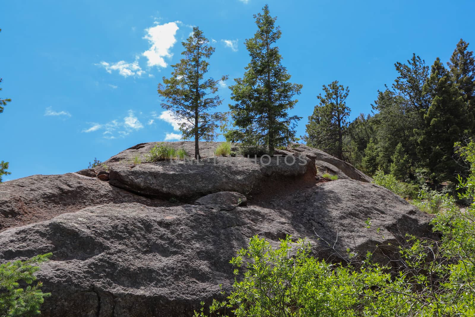 A tree on top of rock face by gena_wells