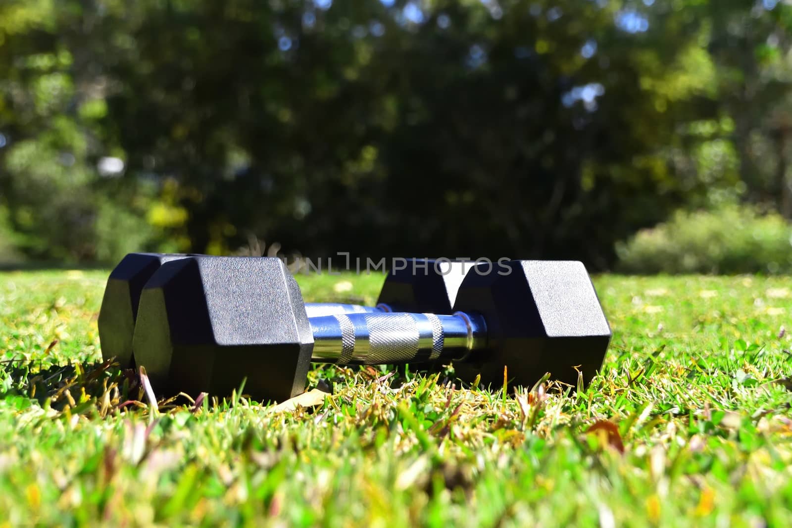 Two black dumbbells on grass