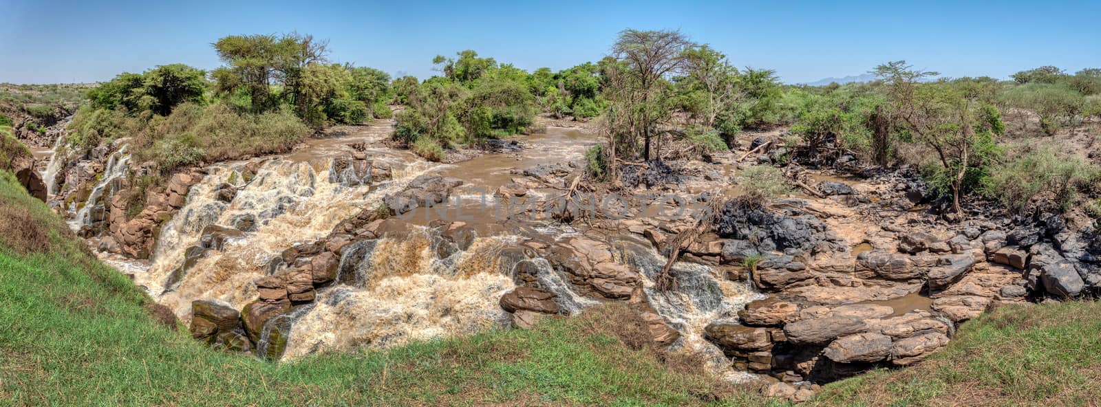 wide panorama of beautiful waterfall in Awash National Park. Waterfalls in Awash wildlife reserve in south of Ethiopia. Wilderness scene, Africa