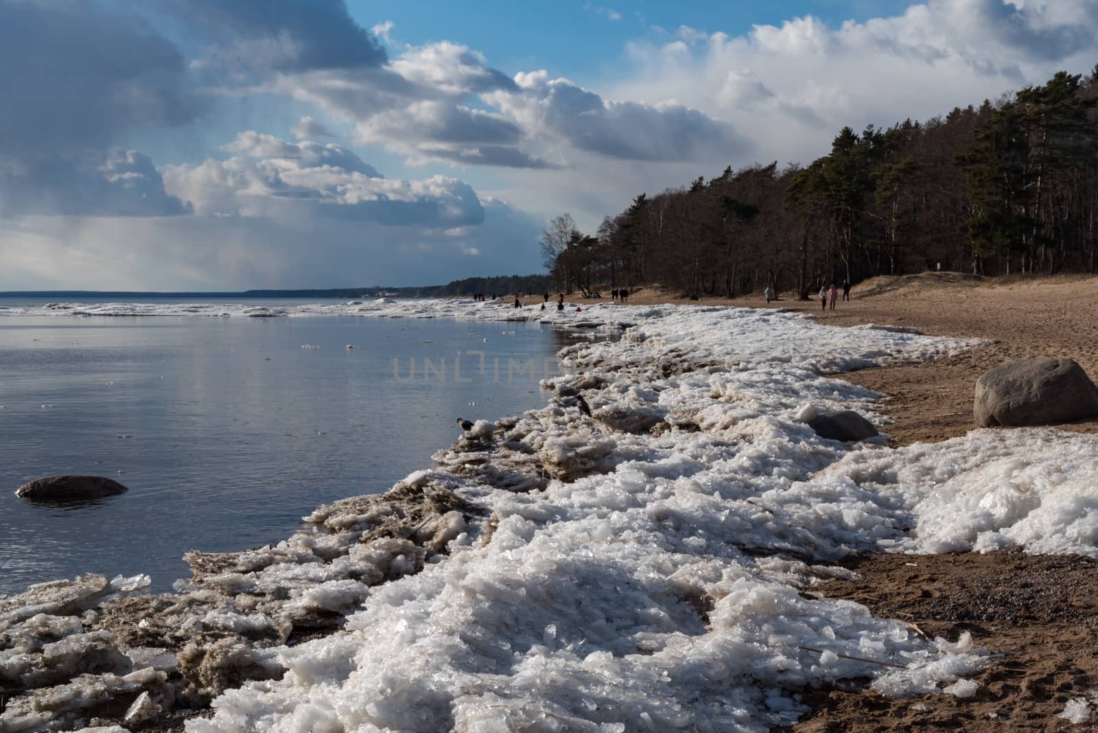 People walking on shore of Finland Gulf in early spring, Komarovo coast park , Russia