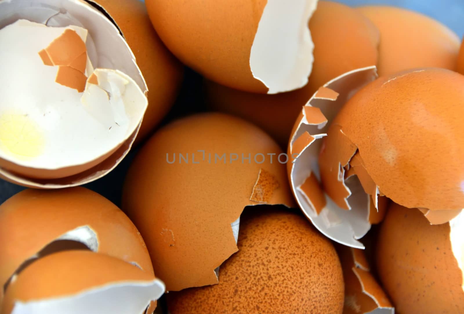 Broken egg shells with a blue background