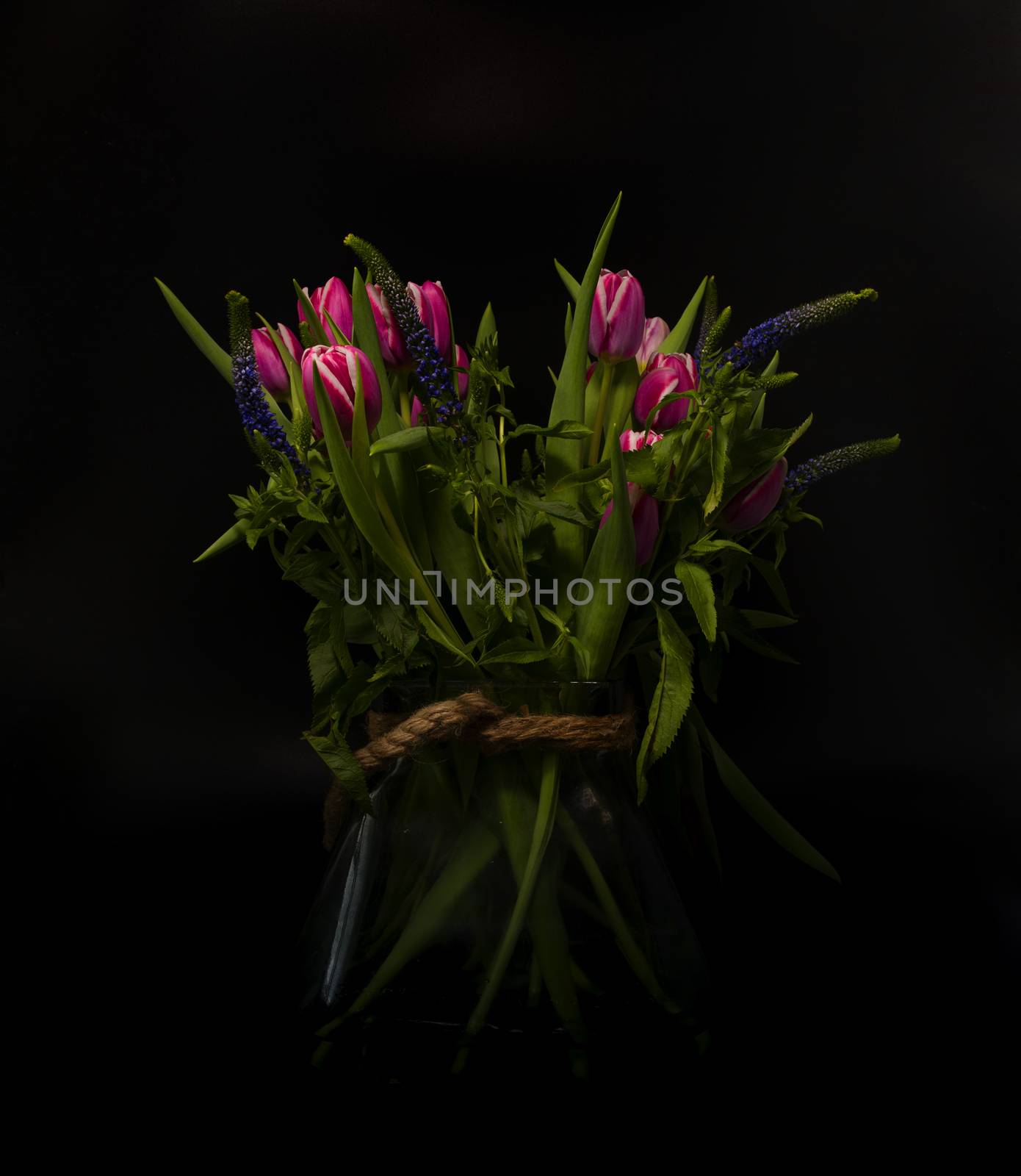 vase with purple dutch tulips still life with black background