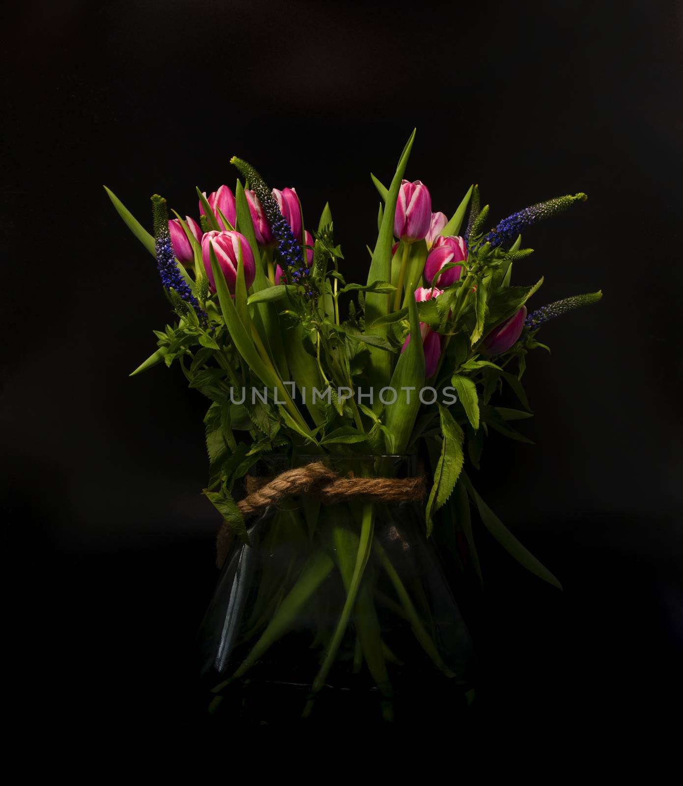 vase with purple dutch tulips still life with black background