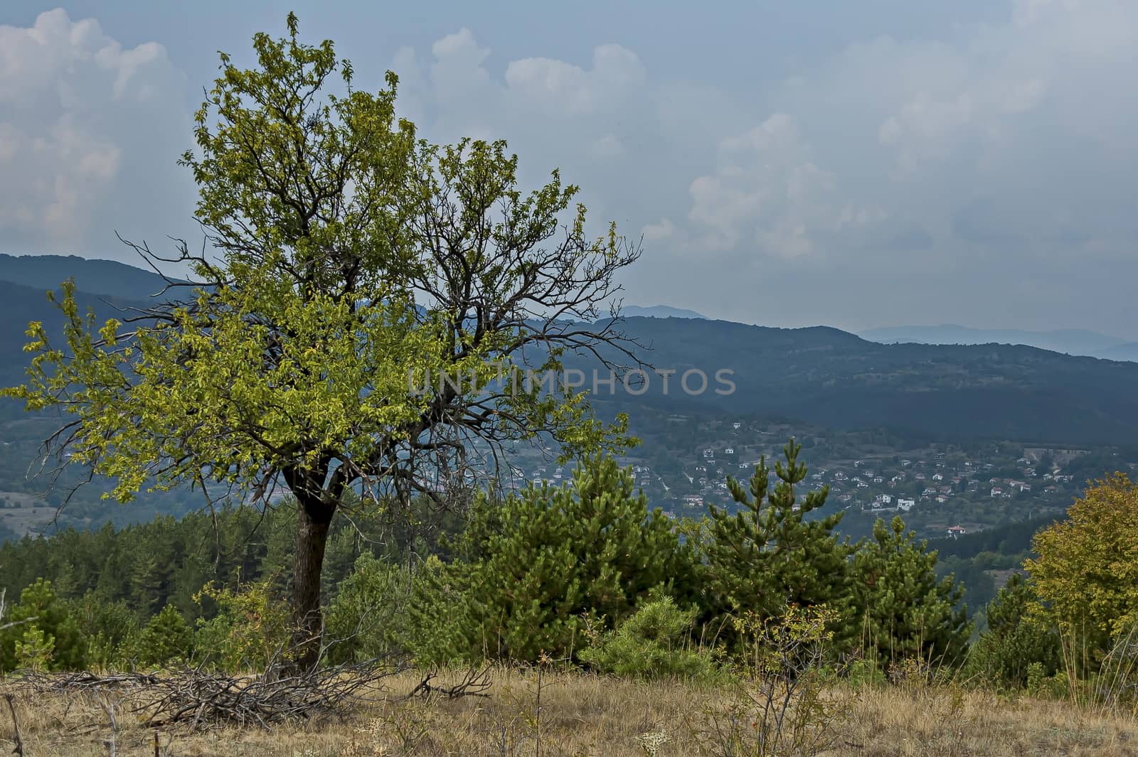 Amazing autumn view of glade, peak and deciduous trees  in Sredna gora mountain, Bulgaria