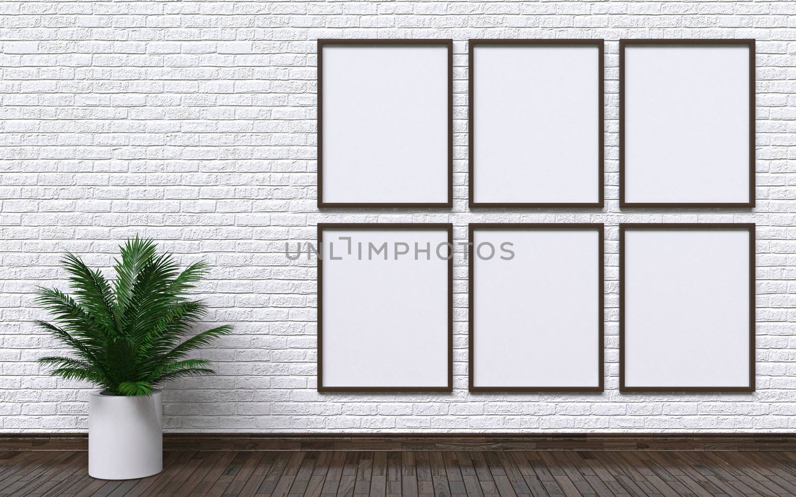 Mock up photo frames with plant and wall 3D render illustration