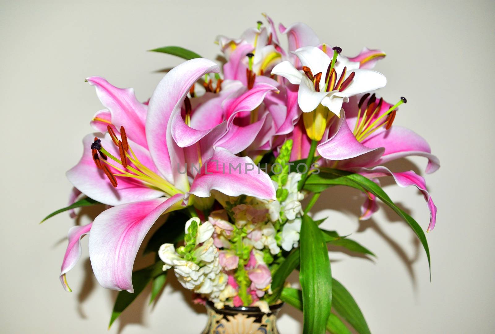 Lilies and Snapdragons on a white background
