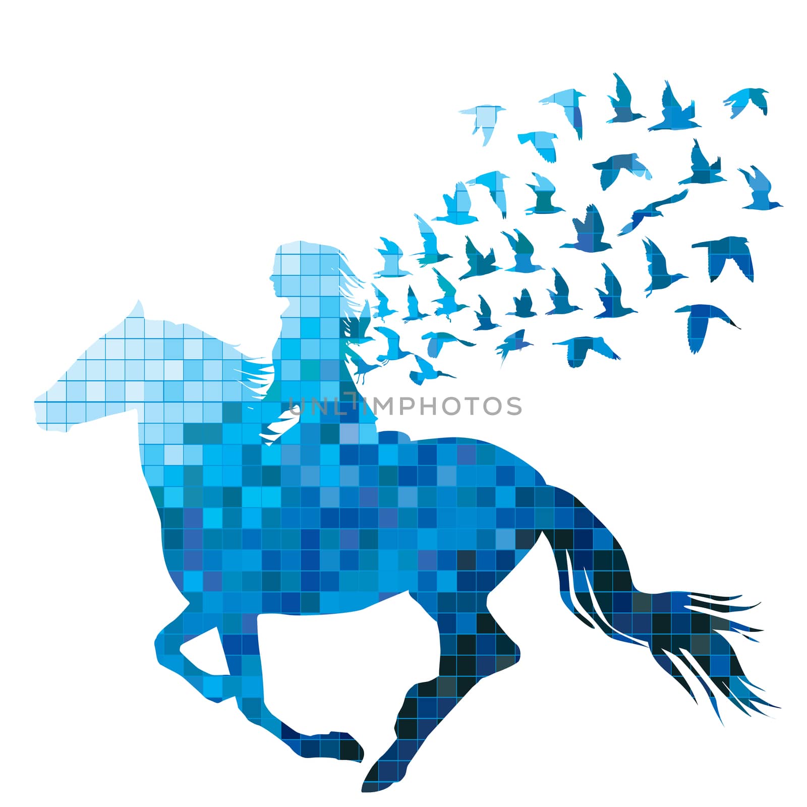 Mosaic tile style of woman rider with birds by hibrida13