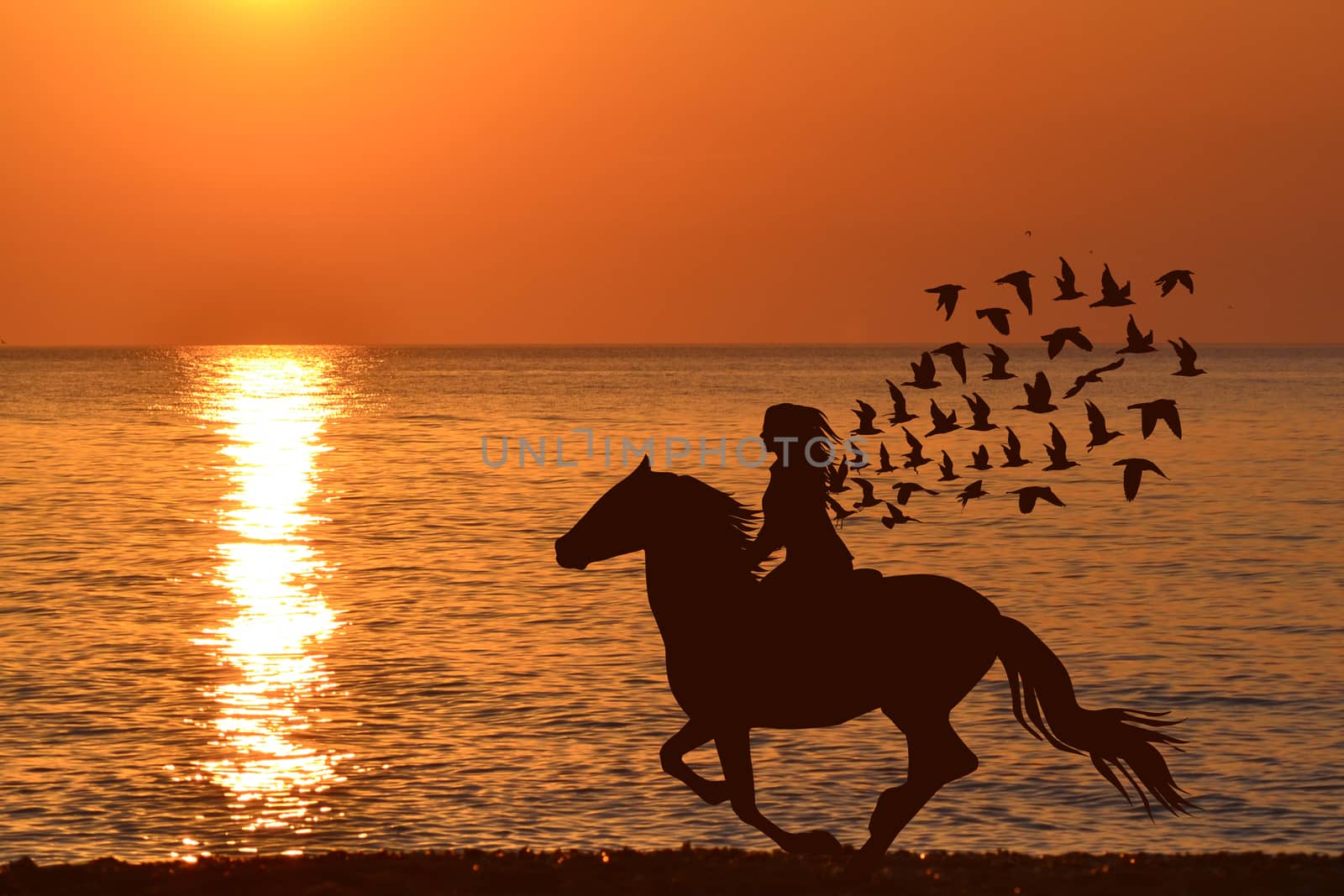 Abstract woman riding a horse with birds flying from her hair at sunrise