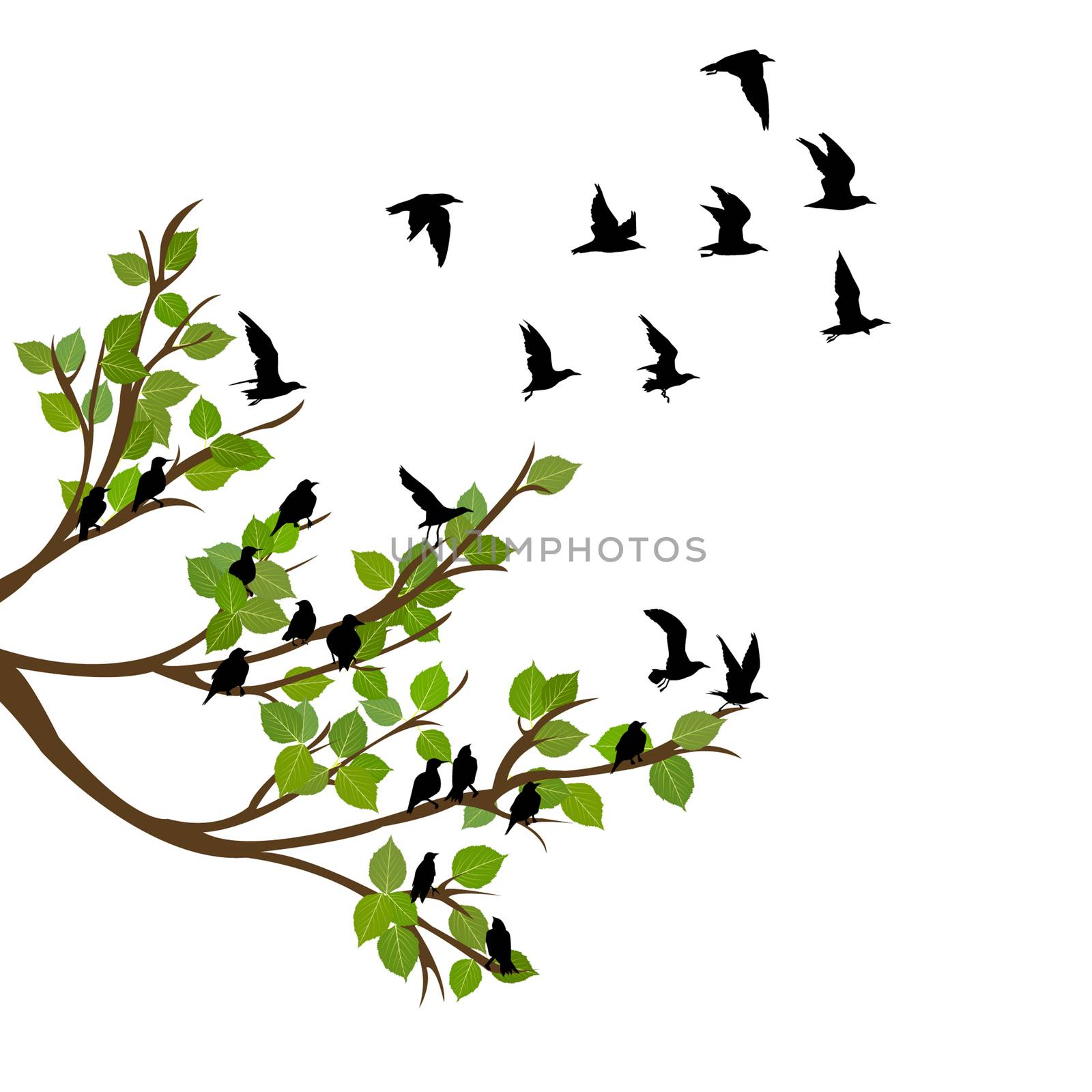 Flock of flying birds on tree branch by hibrida13