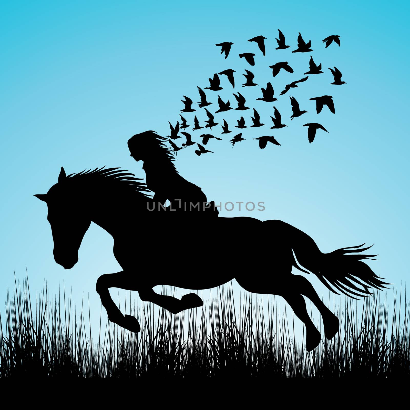 Illustration of woman riding a horse and birds flying by hibrida13