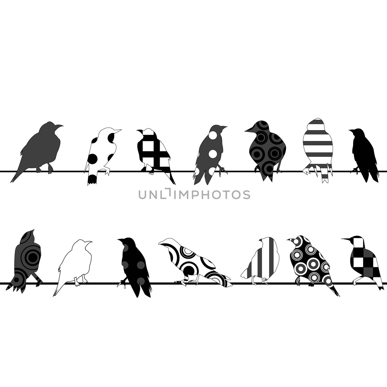 Birds with different pattern on wires over white background