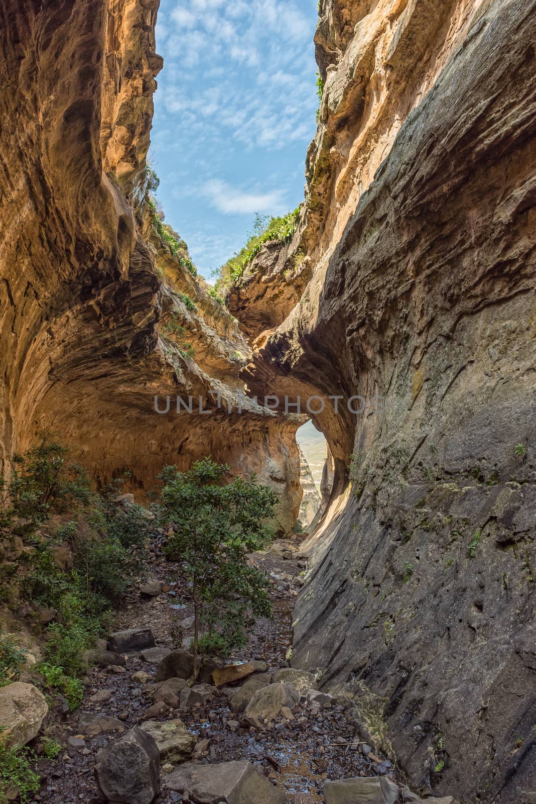 View of Echo Ravine, a sandstone gorge at Golden Gate in the Free State Province