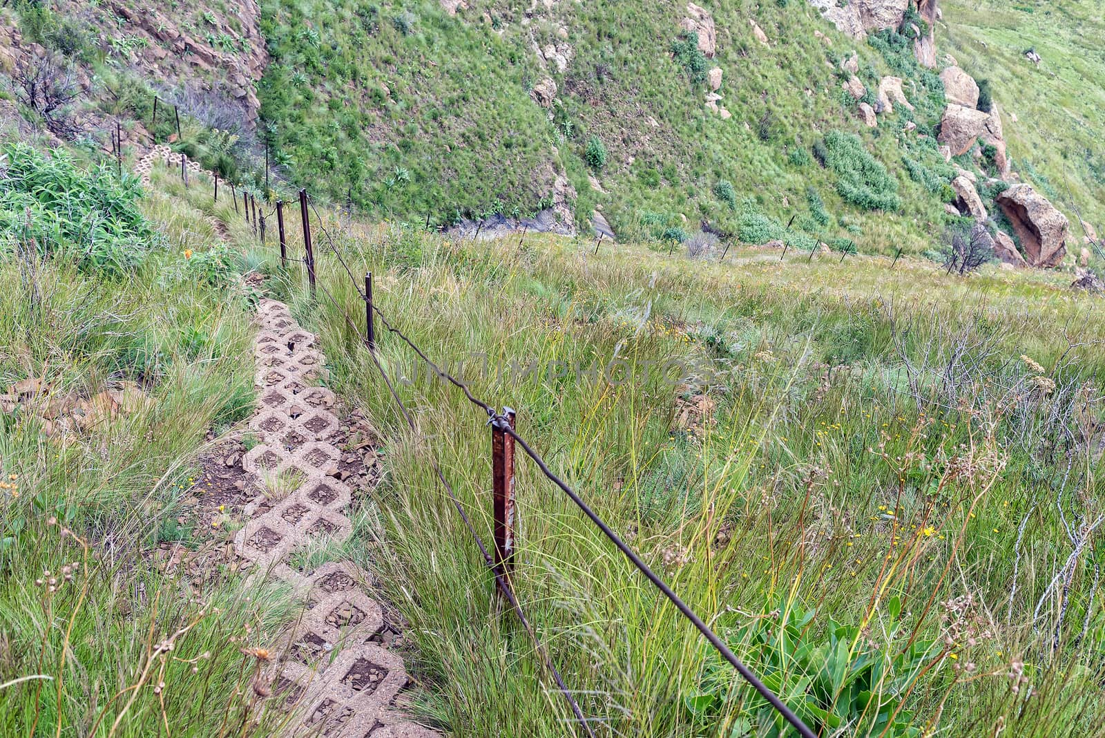 Trail leading down from the Brandwag buttress at Golden Gate by dpreezg