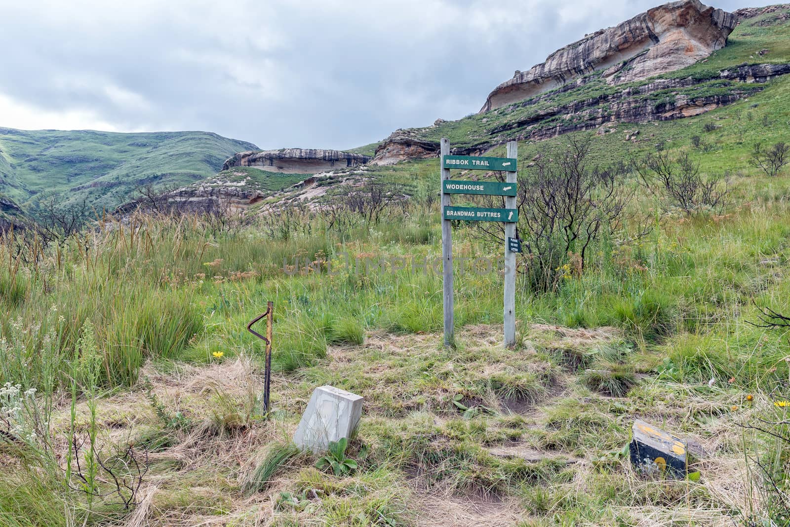 Directional signs on the trail leading to the Brandwag buttress by dpreezg