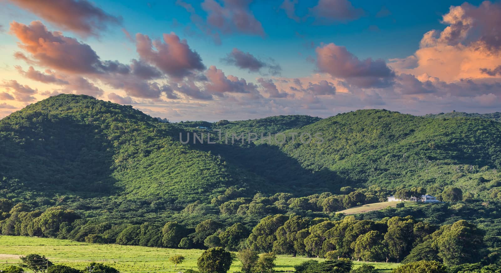 Hills on Green Tropical Coast in the Caribbean