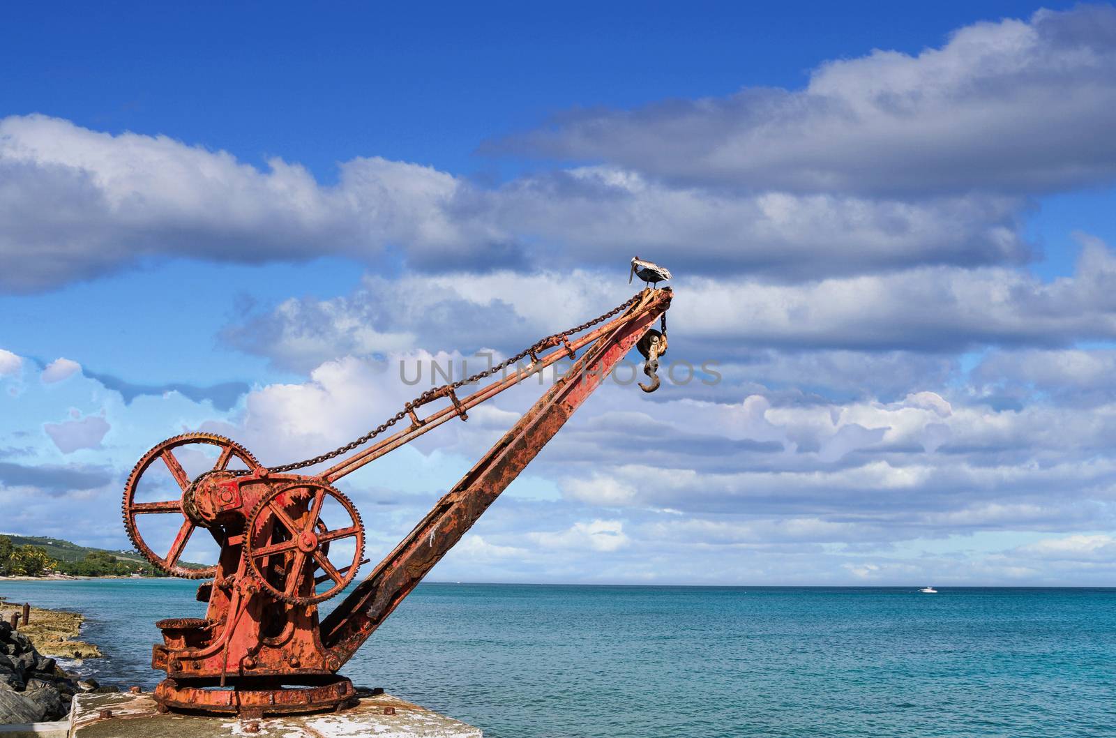 Old Rusty Crane and Pelican by dbvirago