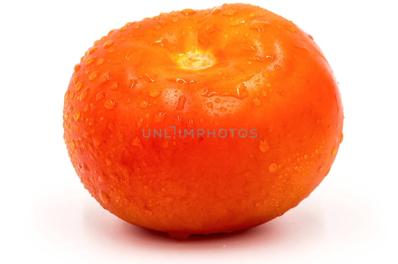 Close up of wet red tomatoes on white background