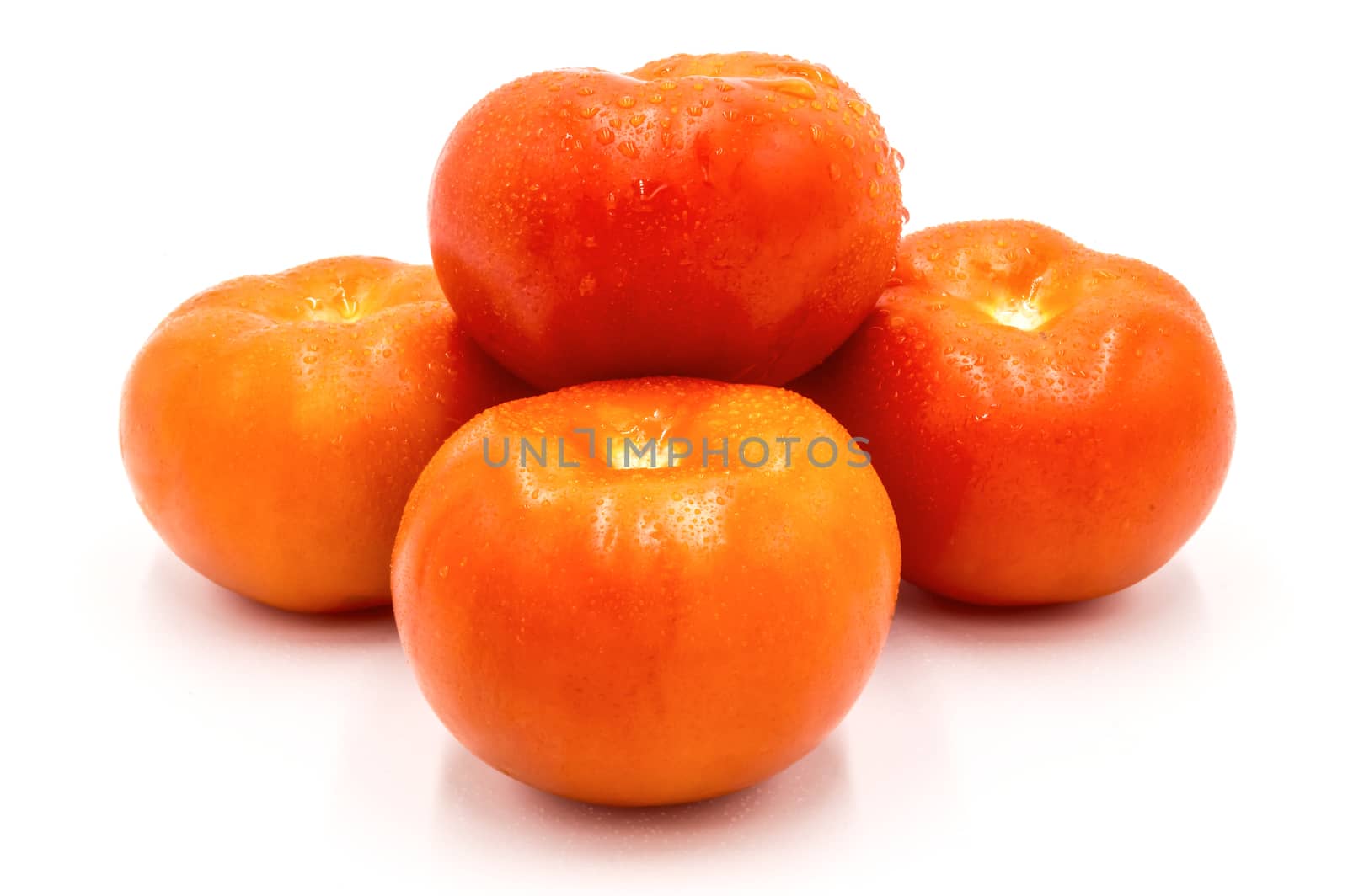 Close up of wet red tomatoes on white background