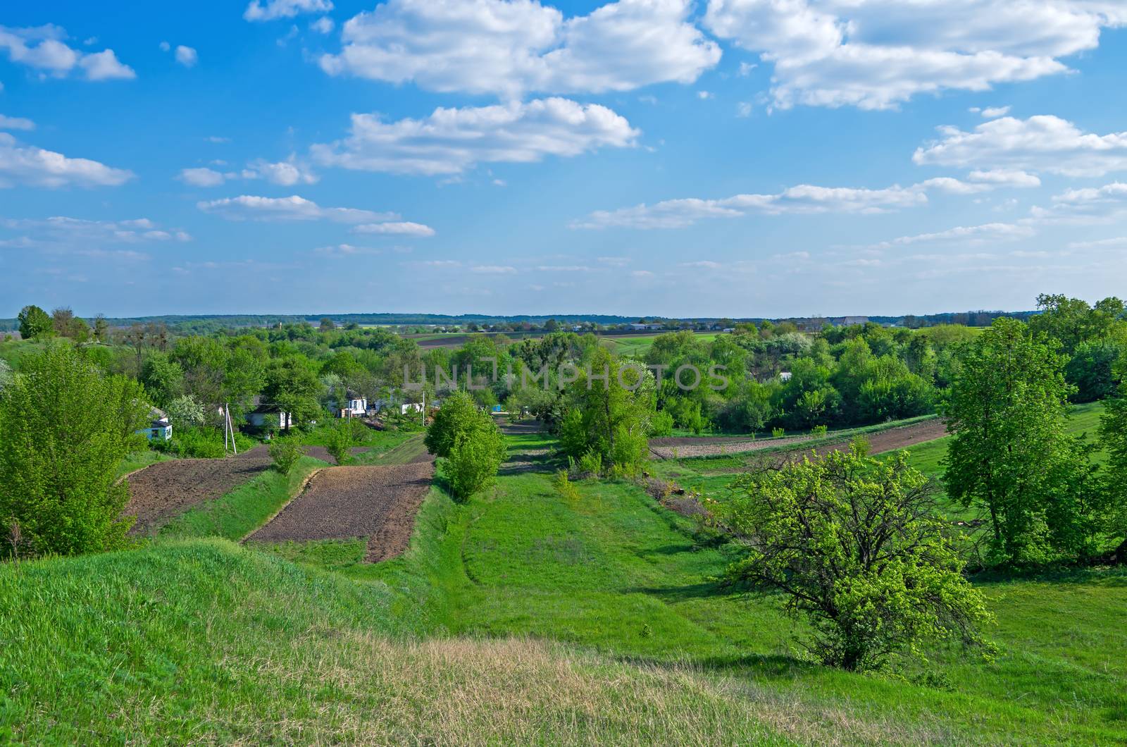 Green meadow and trees on the outskirts of countryside in early spring.