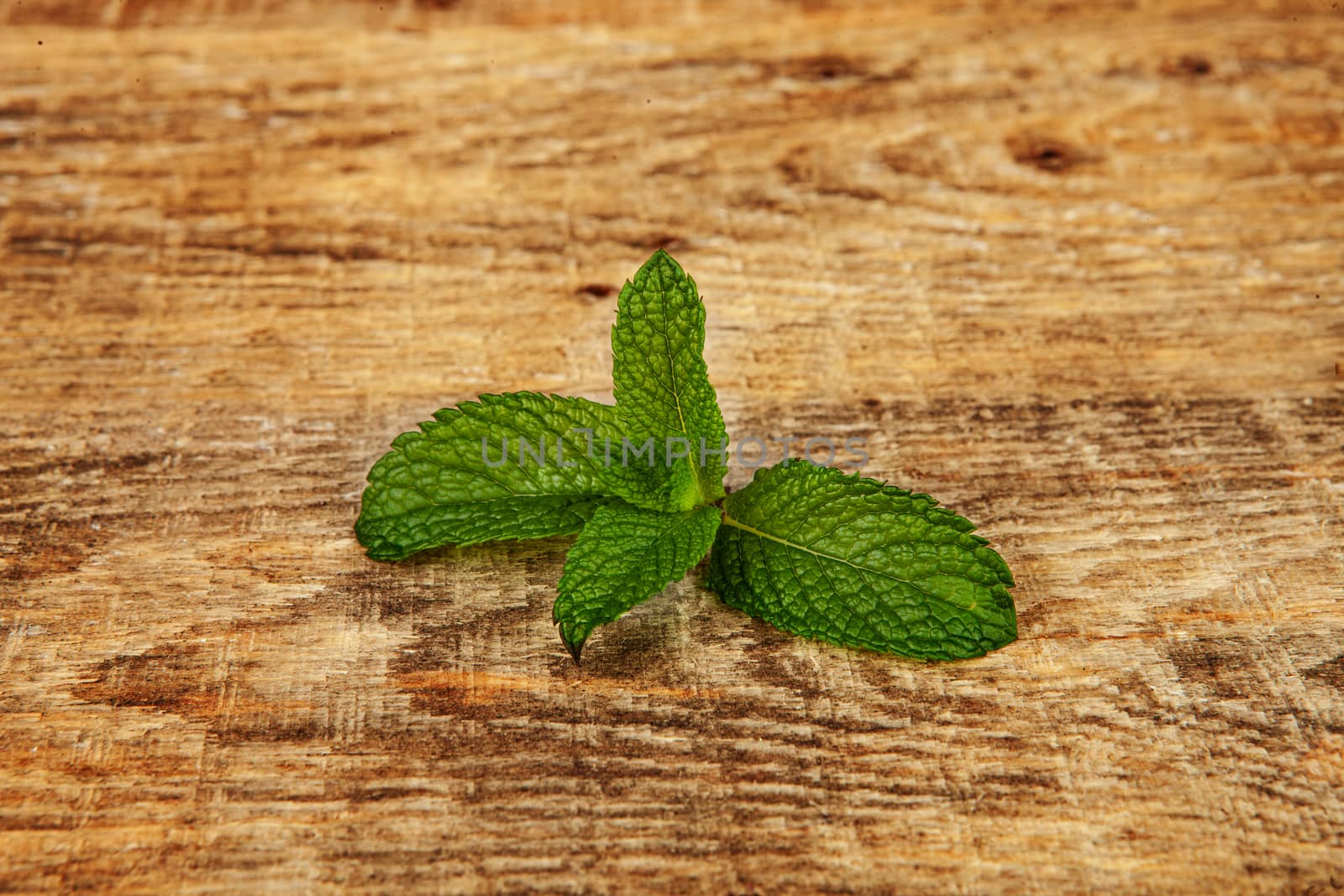 simple mint leaf shot on wood background. Simple mint leaf on wood background