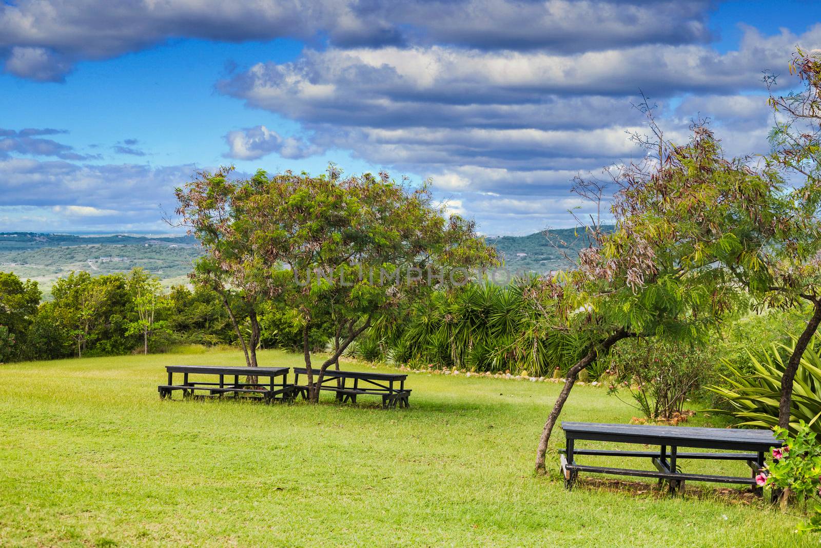 Picnic Benches on Tropical Hillside by dbvirago