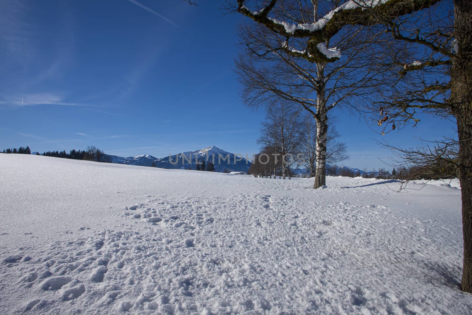 clear blue sky with snow in the mountains of Switzerland, Zugerberg. Trees and mountains