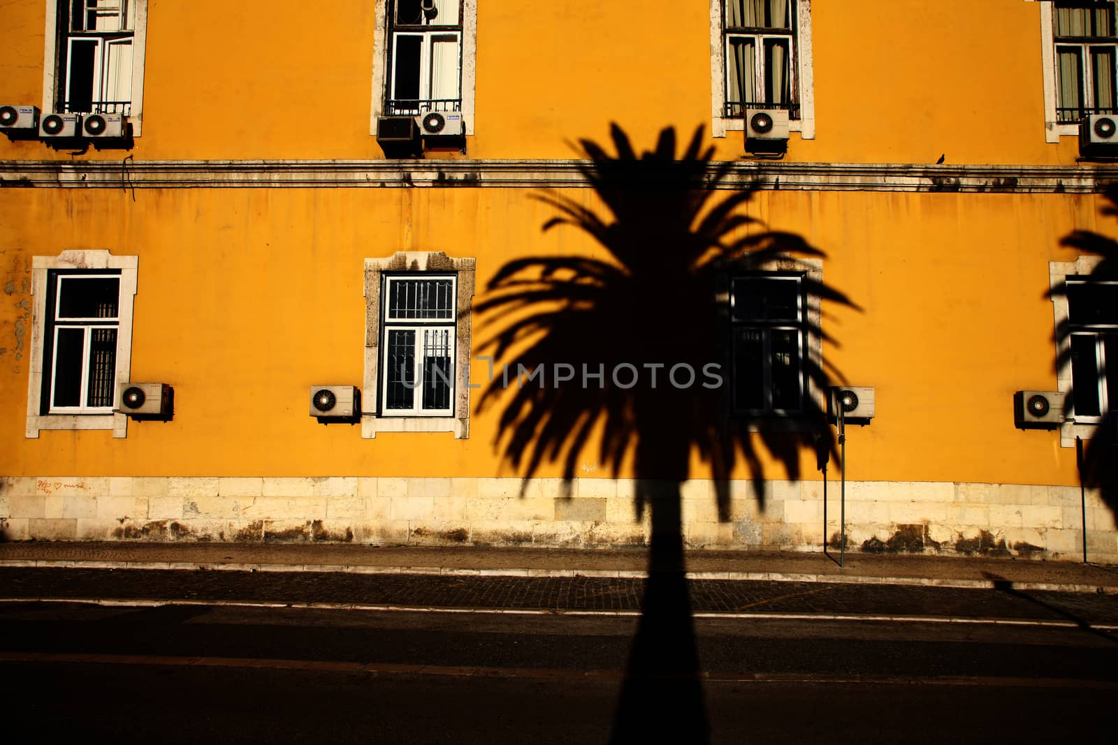 shadow of a palm tree on an old town building in portugal. Yellow building