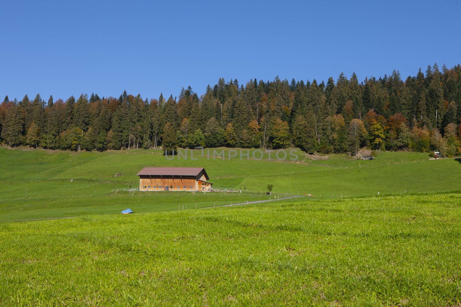 farm house on hill with green grass and forrest and blue sky