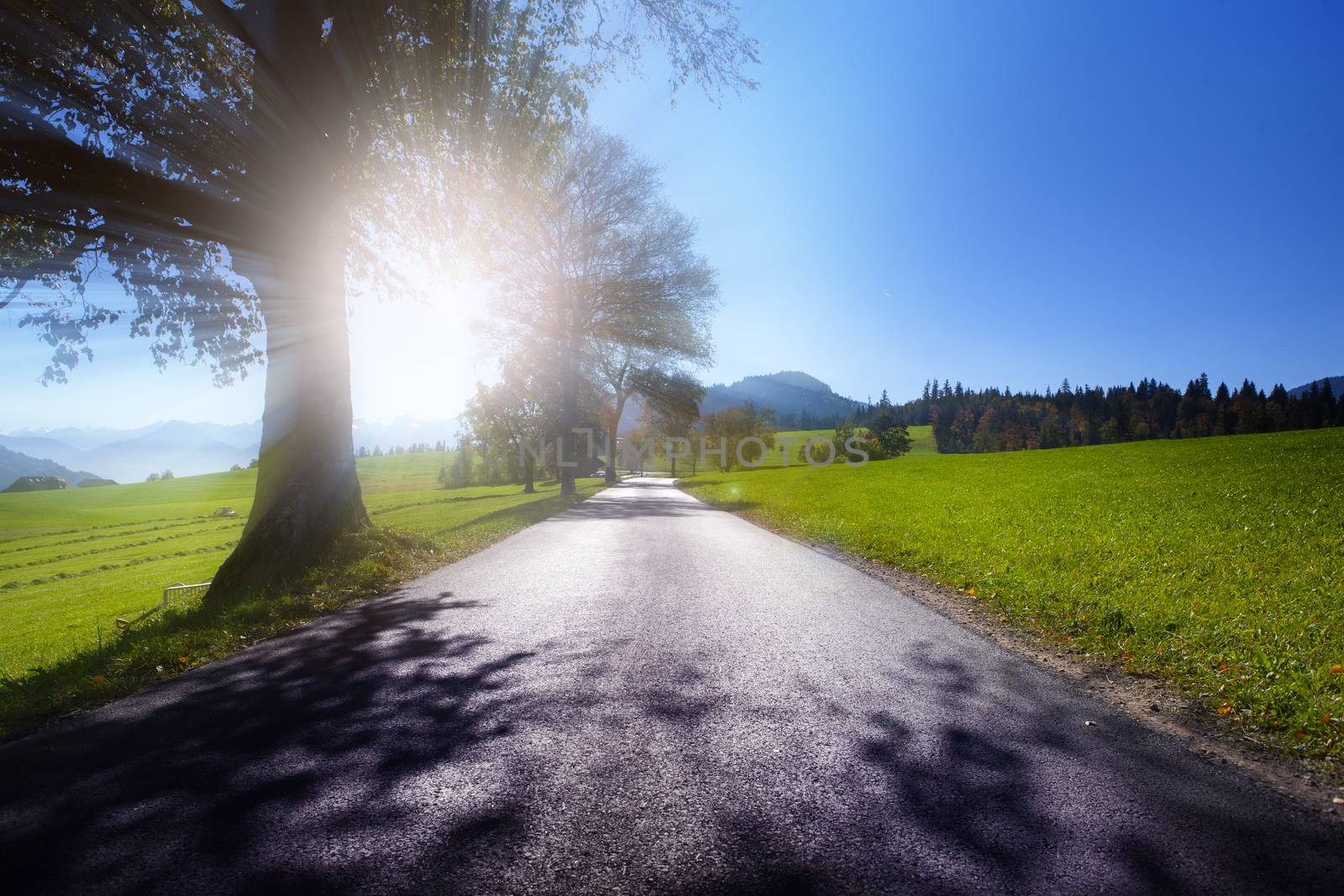 country road leading into horizon during daylight by PeterHofstetter