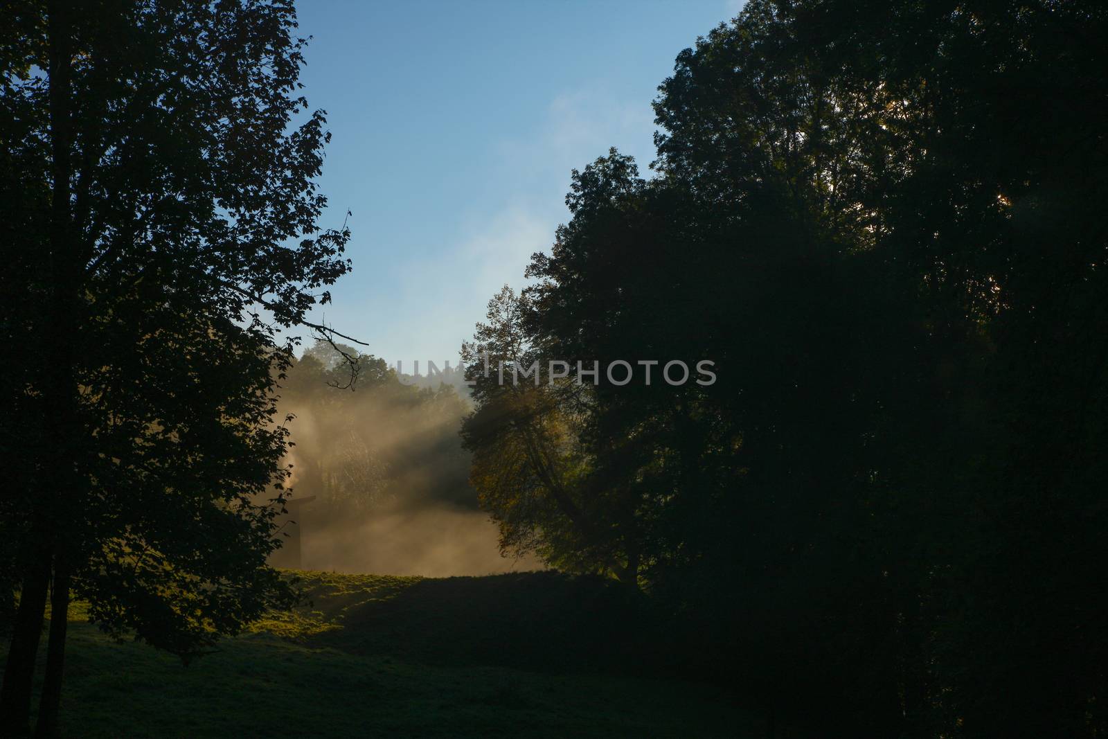 foggy valley in switzerland during sunrise with run rays and shadows