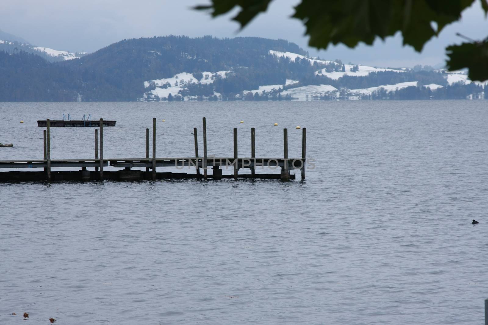 calm lake in winter in Switzerland with a pear