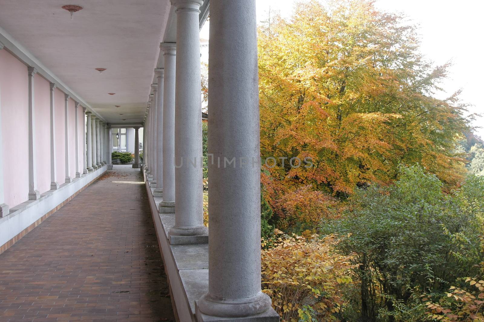 columns with path and trees and sun rays