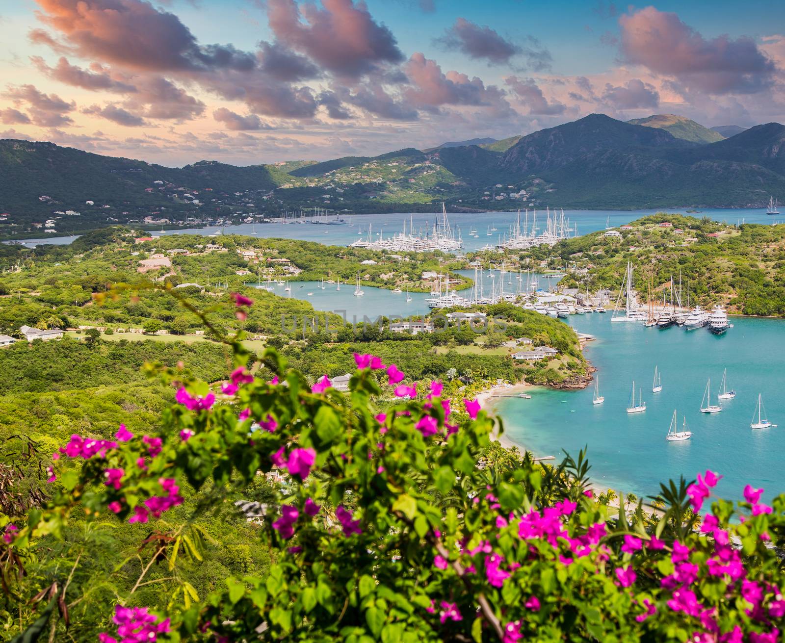 Yacht Basin Beyond Flowers at Dusk by dbvirago