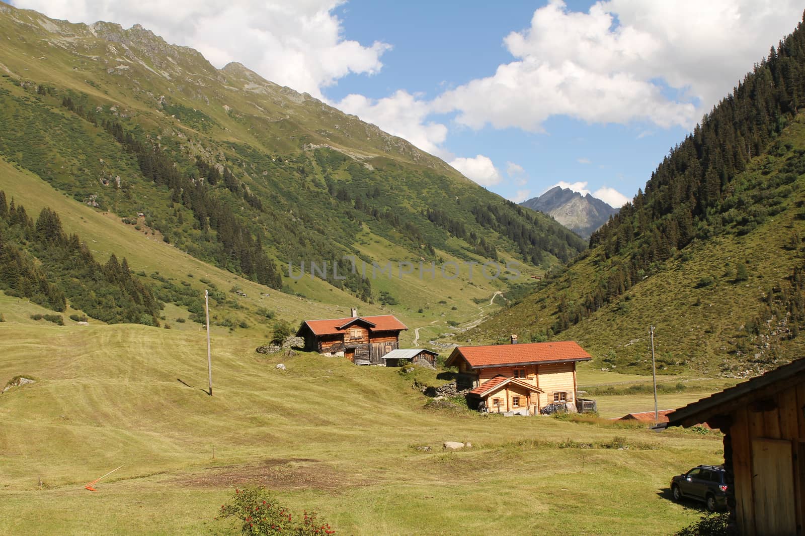 swiss alp stable on farm land with hut and blue sky