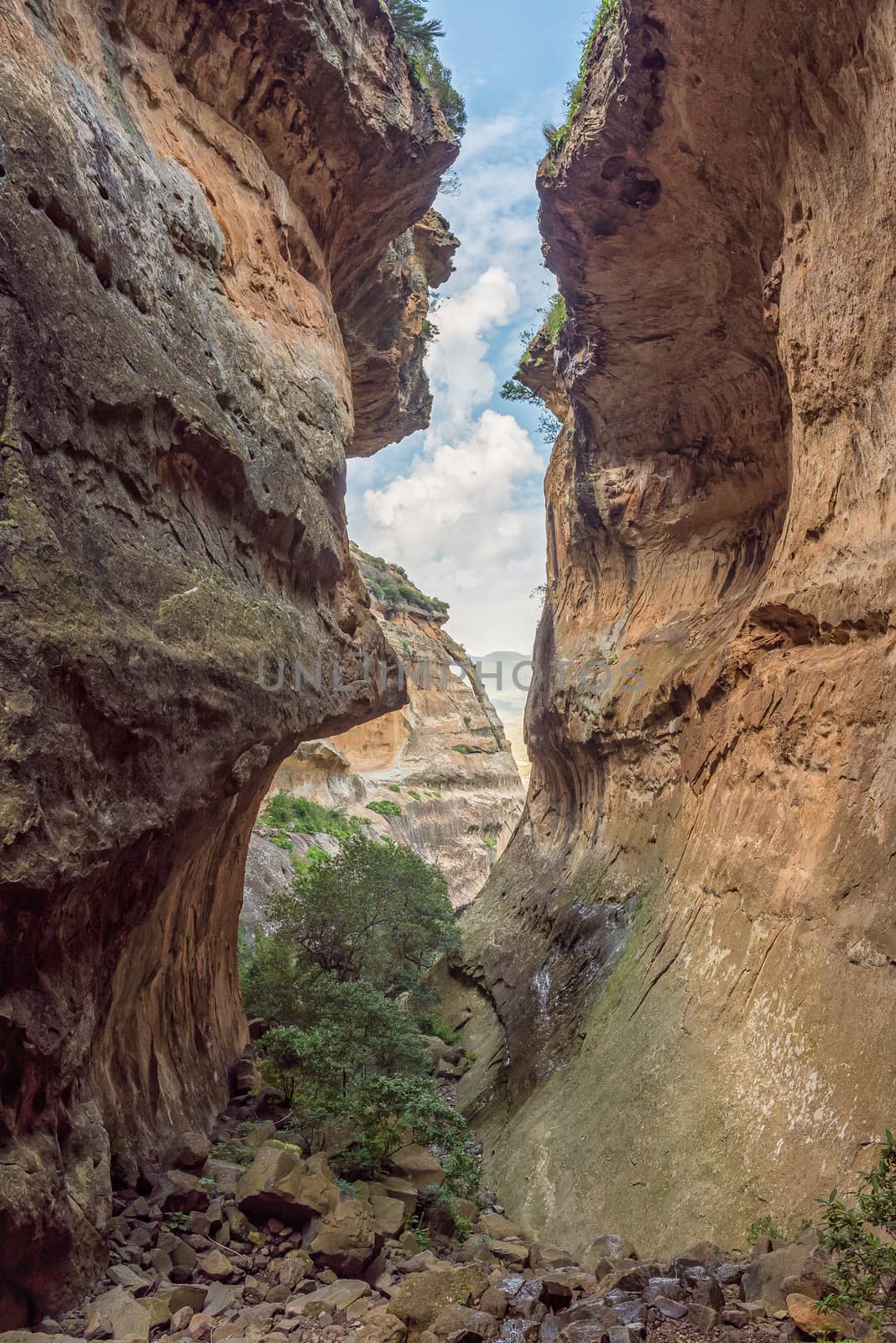 Echo Ravine, a sandstone gorge at Golden Gate, Free State by dpreezg